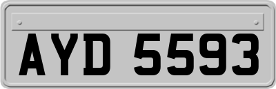AYD5593