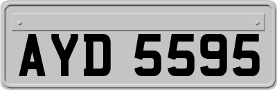 AYD5595