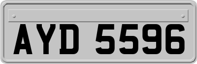 AYD5596