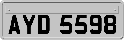 AYD5598