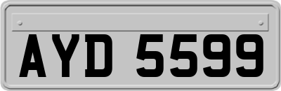 AYD5599