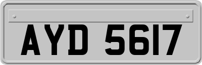 AYD5617