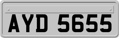 AYD5655