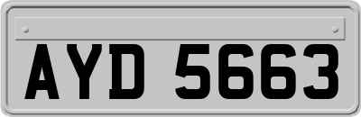 AYD5663