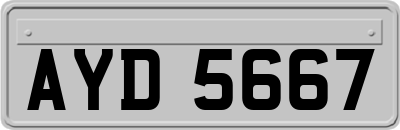 AYD5667