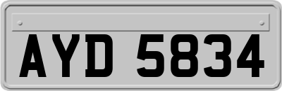 AYD5834