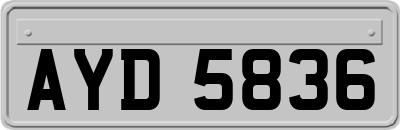 AYD5836