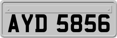 AYD5856