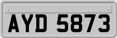AYD5873