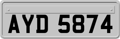 AYD5874