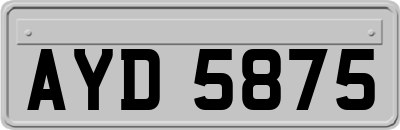 AYD5875