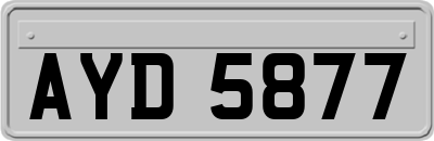 AYD5877