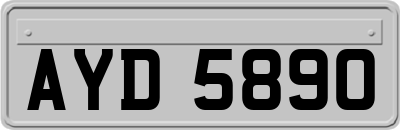 AYD5890