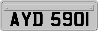 AYD5901
