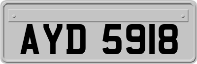 AYD5918