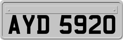 AYD5920