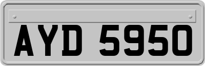 AYD5950