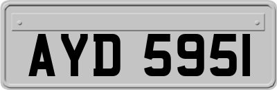 AYD5951