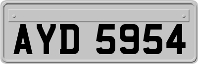 AYD5954