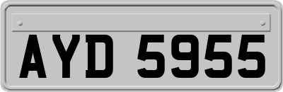 AYD5955
