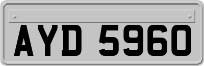 AYD5960