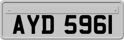 AYD5961