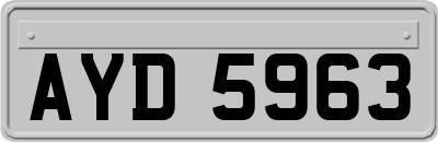 AYD5963