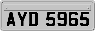 AYD5965