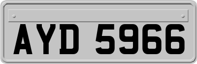 AYD5966