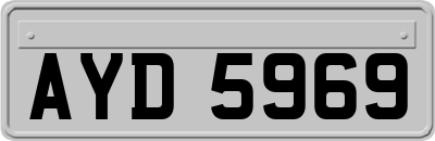 AYD5969