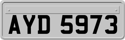 AYD5973