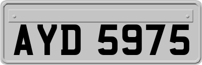 AYD5975