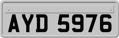 AYD5976