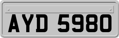 AYD5980