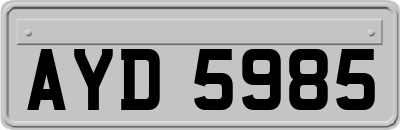 AYD5985