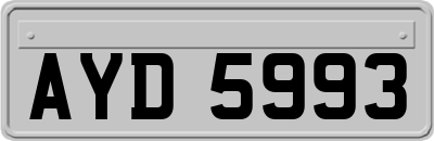 AYD5993