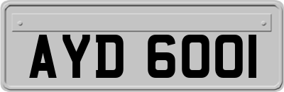 AYD6001