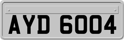 AYD6004