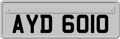 AYD6010