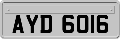 AYD6016