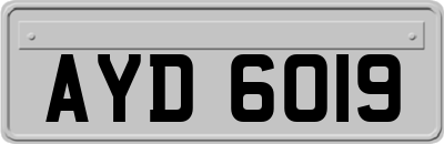 AYD6019