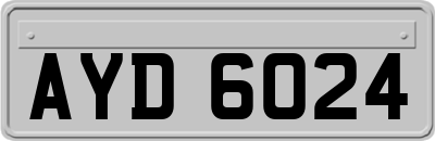 AYD6024