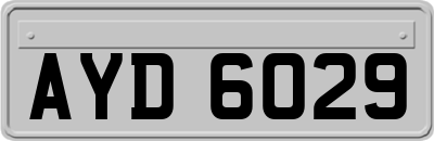 AYD6029