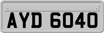 AYD6040