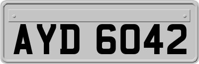 AYD6042