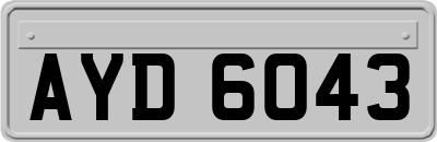 AYD6043