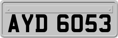 AYD6053