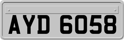 AYD6058