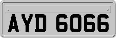 AYD6066