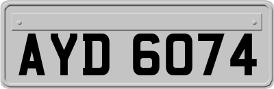 AYD6074